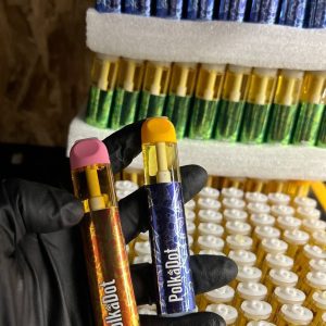 polkadot disposable 2g