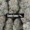 candy fumez strain​