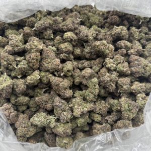 zombie runtz strain​