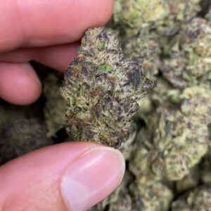 ice cream cake strain