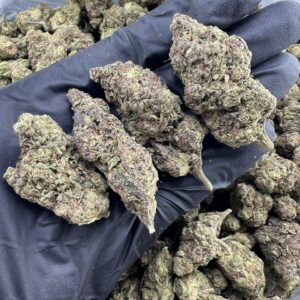 galactic runtz strain