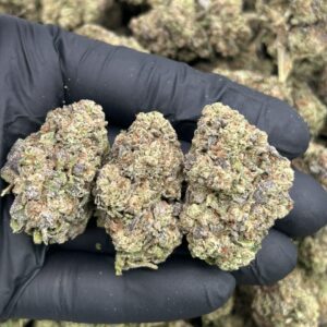 cherry gumbo strain​