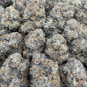 cherry blast strain​