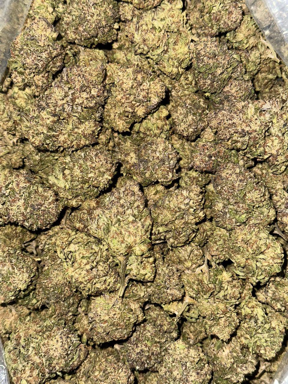 blueberry muffin strain