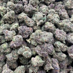 lemon cherry sherbert strain​