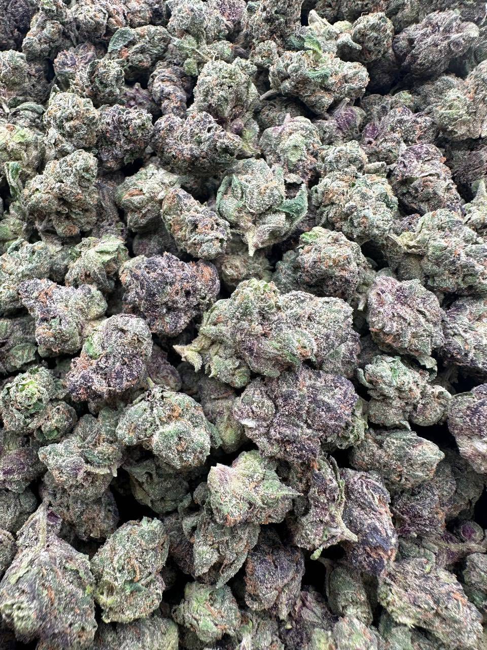 lemon cherry sherbert strain