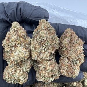 animal cake strain​