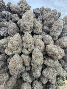 garlic cookies strain​