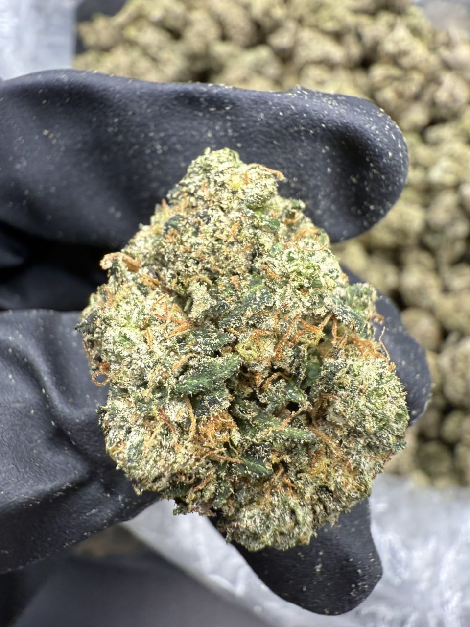 lemon pound cake strain