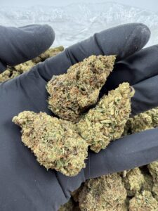 carbon fiber strain​