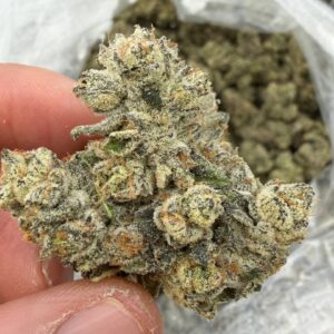 pop rocks strain​