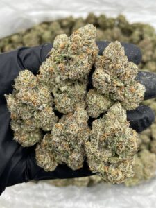 blue gatorade strain​

