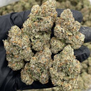 blue gatorade strain