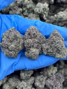 frosted flakes strain