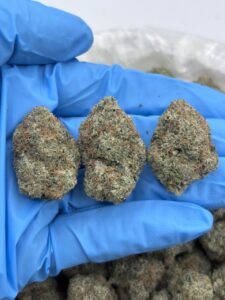 Watermelon Punch Strain