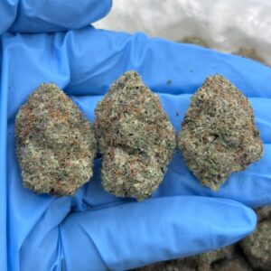 watermelon punch strain