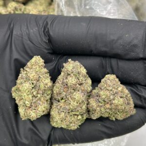 pink zerts strain​