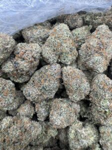 Bubblegum Poppers Strain