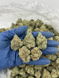 alaskan thunder fuck strain​