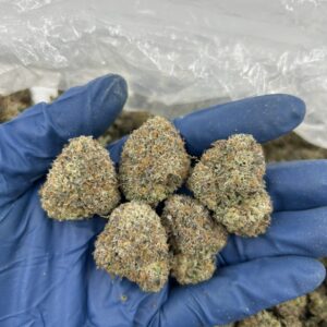 frozen cherry strain