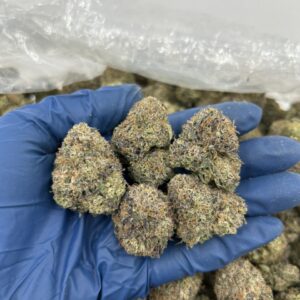 candy land strain​