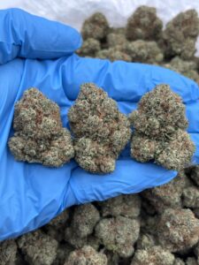 king louis og strain