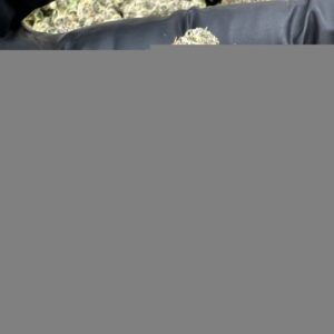 rainbow runtz strain​