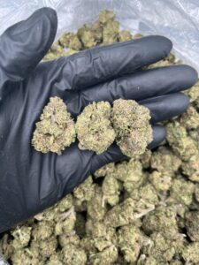 white gummies strain