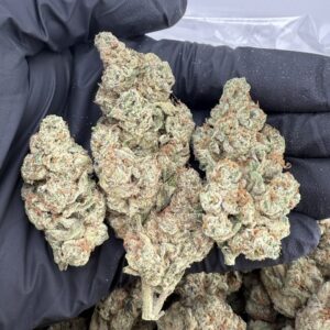 watermelon z strain​