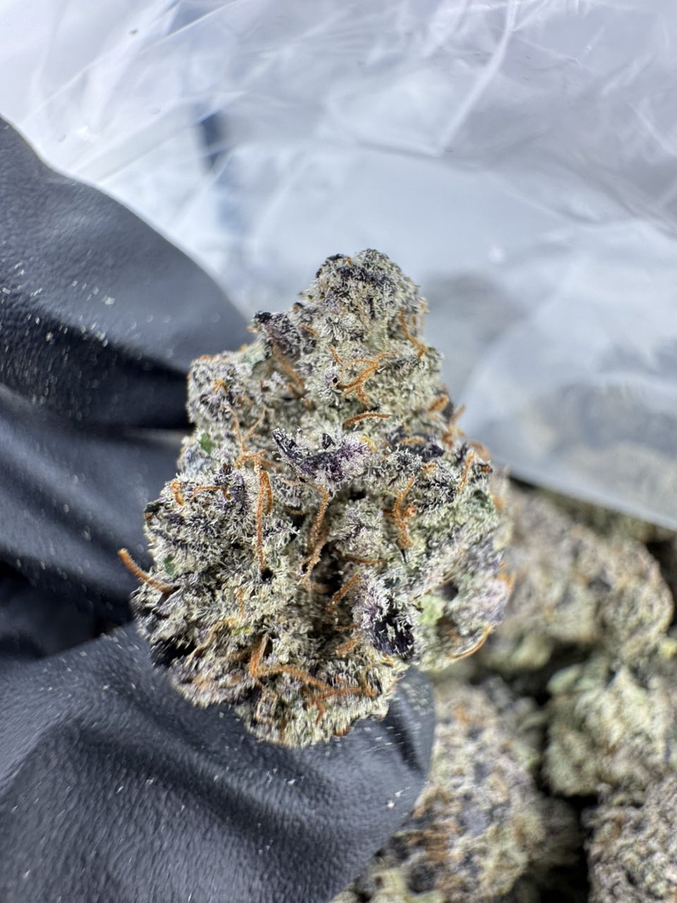 blue mac strain - Image 2