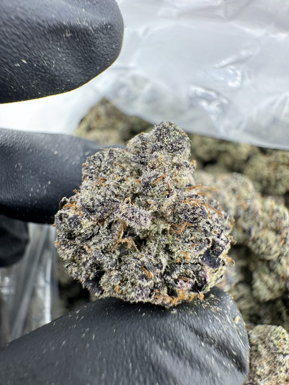 blue mac strain - Image 3