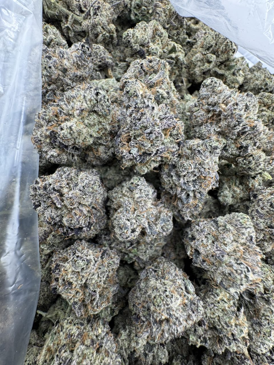 blue mac strain