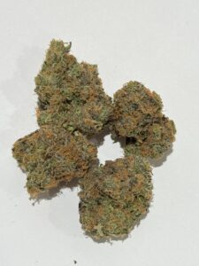 Rainbow Z backpackboys