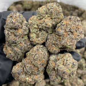 Brain Freeze Strain