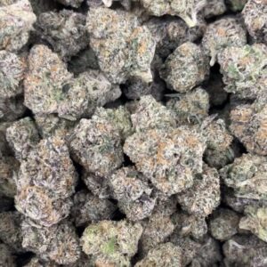 sugar plum strain