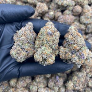 black cherry truffle strain​